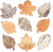 Foglie in Corteccia, Articoli