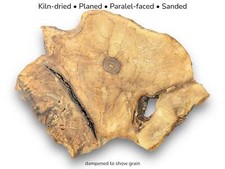 Fetta di legno radice di noce