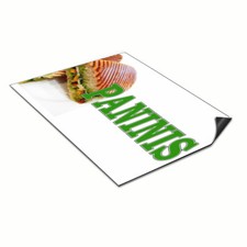 Car Magnet Set of 2 Panini