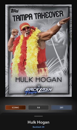 Hulk hogan silver tampa - hulk,