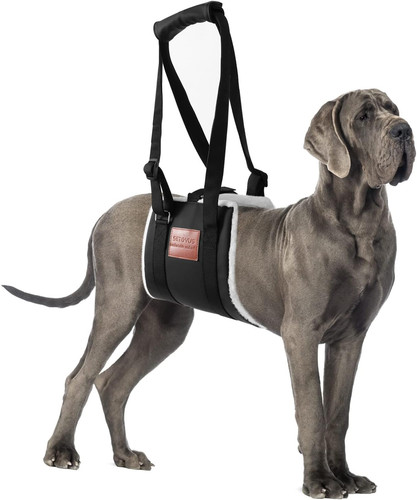Imbracatura per cani - cani,