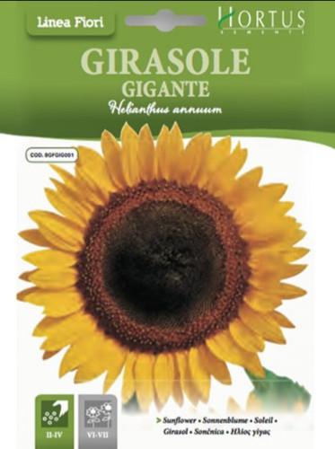 Girasole gigante hortus - girasole,
