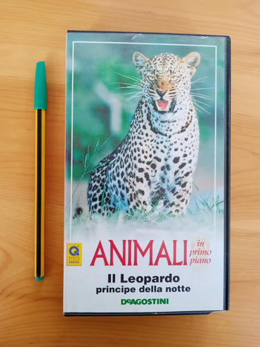 Leopardo animali in primo - il,