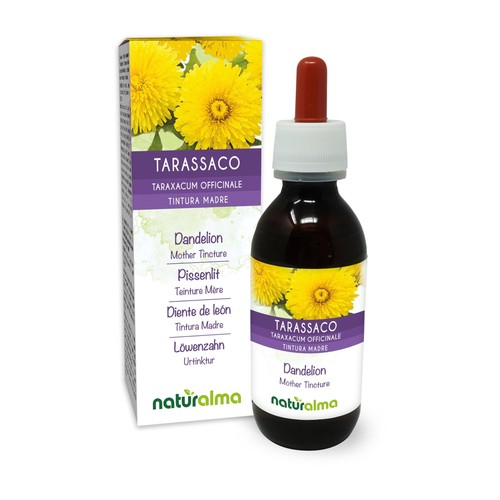 Tarassaco taraxacum - tarassaco, (taraxacum
