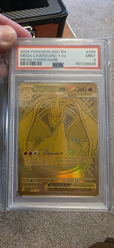2026 pokemon mega charizard - pokemon, y