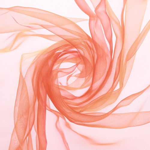Tessuto organza trasparente