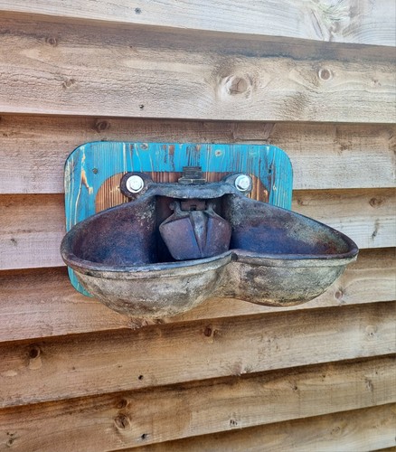 Fioriera bagno per uccelli o - per,