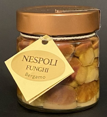 Vaso funghi porcini testa - vaso, di