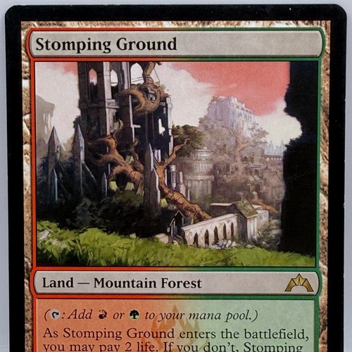 Magic the gathering - the, stomping
