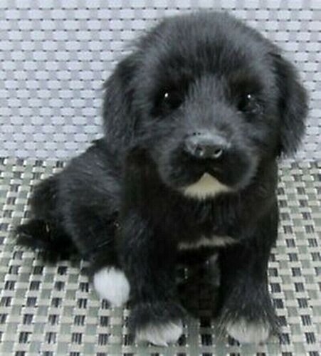 Peluche labrador nero