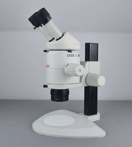 Microscopio professionale