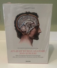 Atlas of Human Anatomy and