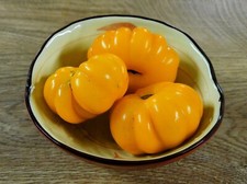 POMODORO DALLA SERBIA -