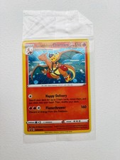Special Delivery Charizard