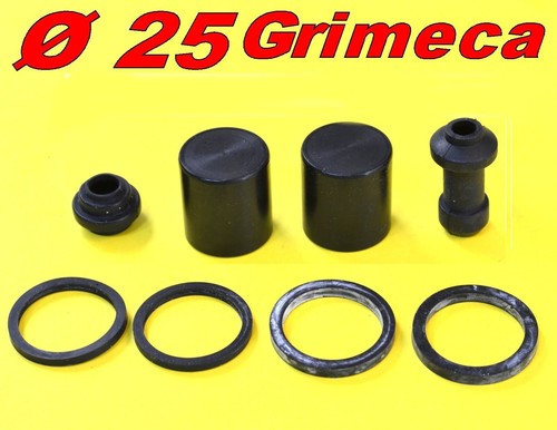 Kit revisione pinza freno - kit,