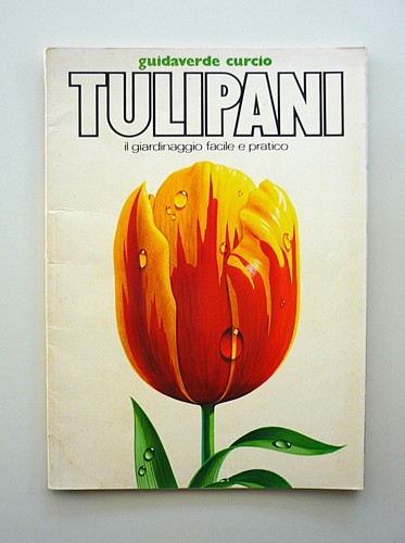 Tulipani giardinaggio - tulipani,