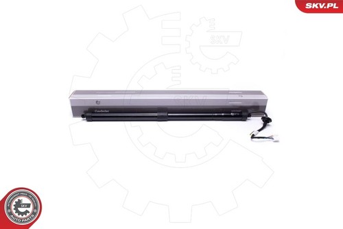 Motore elettrico esen skv - motore,