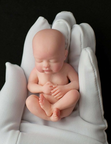 Stampi sugarcraft argilla - stampi,