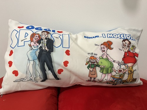 Cuscino festa sposi matrimonio - cuscino,
