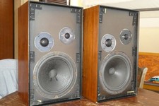RCF BR 40W DIFFUSORI CASSE 3 VIE 40 WATT WOOFER ALNICO, VINTAGE MODELLO RARO