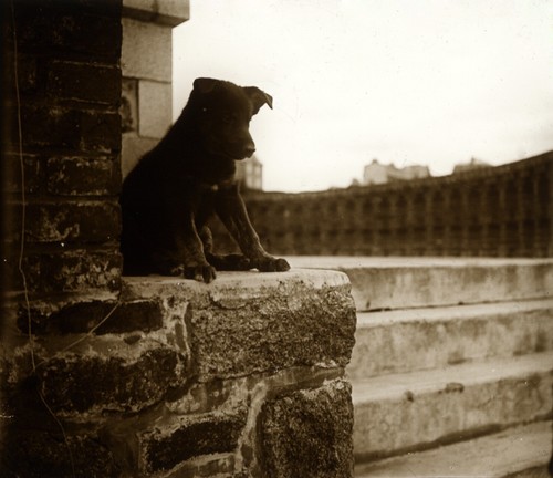 Tirage repro photo ancienne - ,