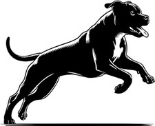 Adesivo PRESA CANARIO Dogo Canario adesivo auto pellicola adesiva #71