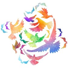  Adesivo Da Parete Adesive