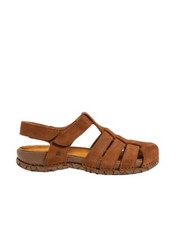 El Naturalista N5862 PLEASANT