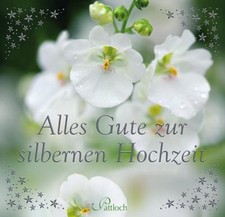 Alles Gute zur silbernen