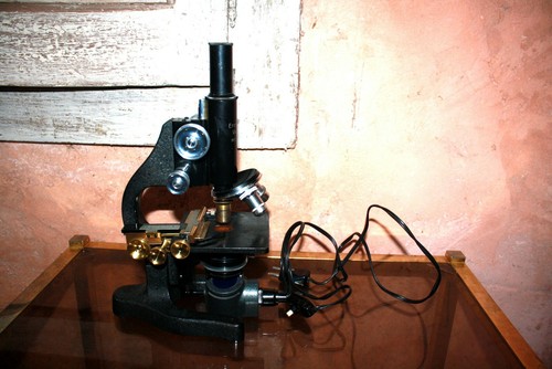 Microscope vintage ernst - microscope, leitz