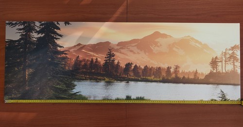 Quadro dipinto tela - dipinto, 120x40