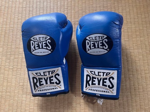 Guantoni boxe professionali - da,