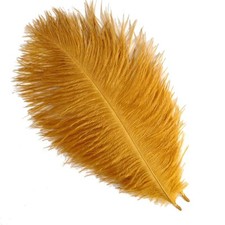 Sowder 50 piume di struzzo