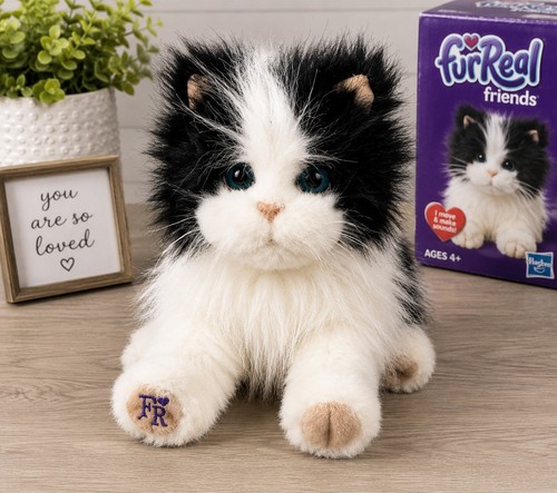 Peluche gatto persiano bianco