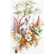 Magic Needle Zweigart Set