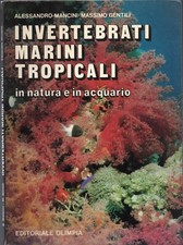 Mancini/ Gentili - Invertebrati Marini Tropicali in natura e in acquario