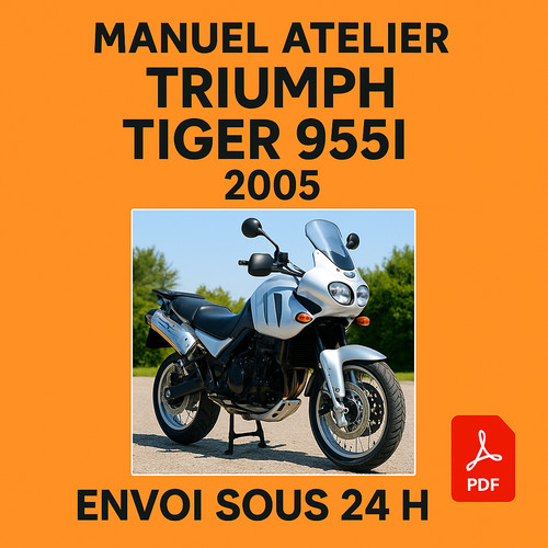 Manuel atelier triumph - manuel,