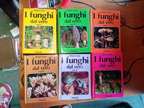 Raro saturnia volumi funghi - raro,