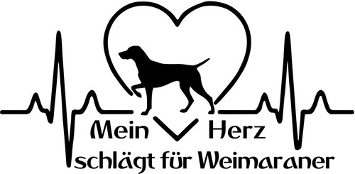Weimaraner adesivo auto - weimaraner,