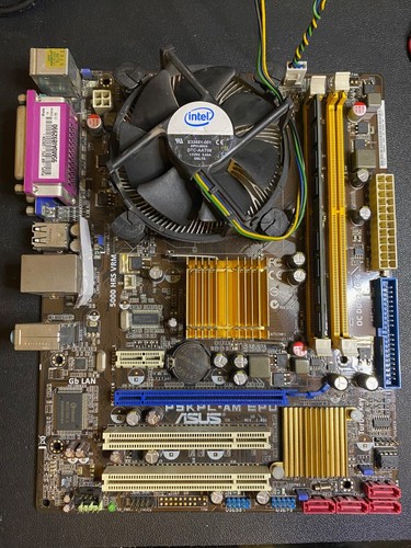 Scheda madre asus - scheda,