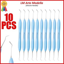 Strumenti di riempimento compositi dentali Modella 10 pezzi manico in silicone
