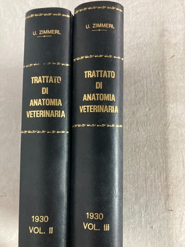Trattato anatomia - di,