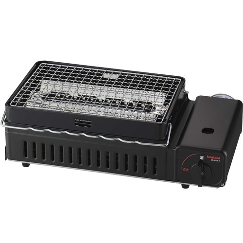 Forno portatile per barbecue