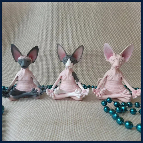Meditazione yoga gatto felice - yoga,