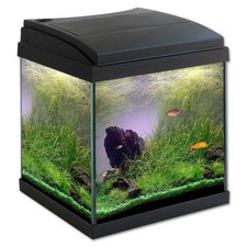 MTB Acquari Milo 30 Cubik Acquario accessoriato 24L Nero