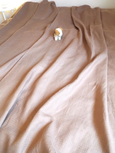 Coppia tende lunghe pesanti - tende,