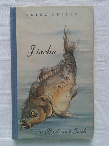 Pesci nel torrente laghetto - pesci,