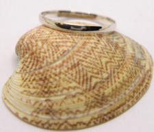 FERMA ANELLO nuovo IN ARGENTO 925 STERLING FEDINA UOMO DONNA con box