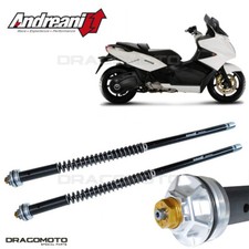 GILERA GP 800 2010-2011 cartuccia ANDREANI 110/G01E MISANO