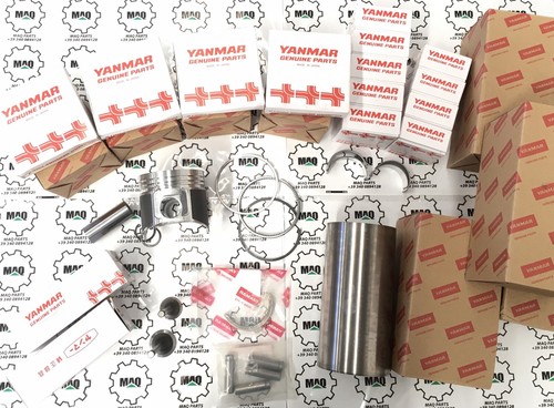 4tne88 kit revisione motore - kit,